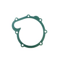 Gasket kit 11700524